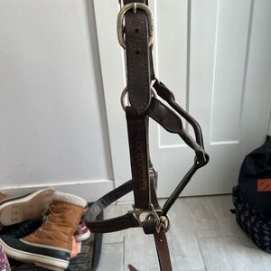 Brown Leather Horse Halter